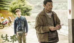 失孤电影在线观看,寻找失散亲情的感人之旅